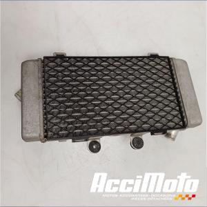 RADIATEUR REFROIDISSEMENT G HONDA VARADERO XL1000V