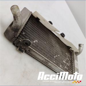 RADIATEUR REFROIDISSEMENT G HONDA VARADERO XL1000V