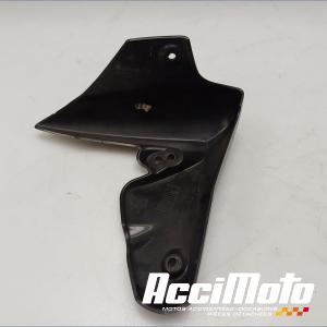 écope de radiateur (gauche) TRIUMPH SPEED TRIPLE 1050 