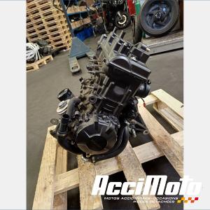 MOTEUR THERMIQUE HONDA HORNET CB600F