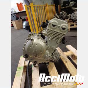 MOTEUR THERMIQUE KAWASAKI ER6 N