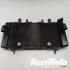 Radiateur de refroidissement HONDA HORNET CB750