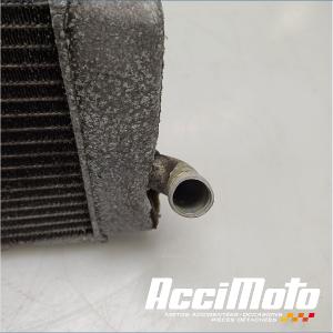 Radiateur de refroidissement YAMAHA TMAX XP500