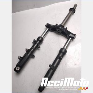 Fourche complète HONDA FORZA NSS125