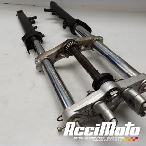 Fourche complète SUZUKI GSXF 650