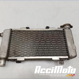 RADIATEUR REFROIDISSEMENT D HONDA VTR1000