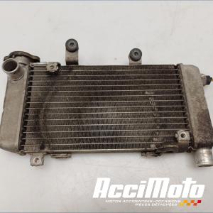 RADIATEUR REFROIDISSEMENT D HONDA VTR1000