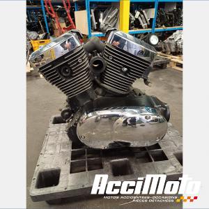 MOTEUR THERMIQUE KAWASAKI VN 1500 CLASSIC