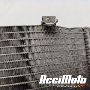 Radiateur de refroidissement YAMAHA TMAX XP500