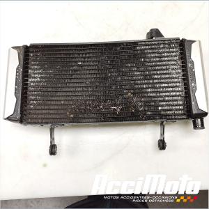 Radiateur de refroidissement SUZUKI SV 1000S