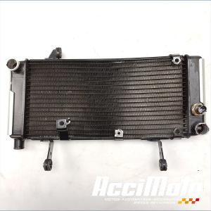 Radiateur de refroidissement SUZUKI SV 1000S