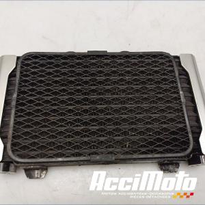 Radiateur d'huile SUZUKI GSX 750 INAZUMA