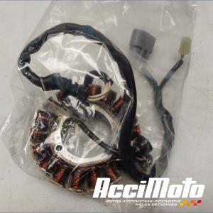 Stator d'alternateur YAMAHA MT-07