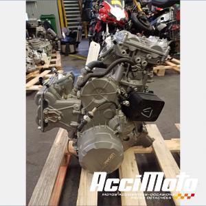 MOTEUR THERMIQUE DUCATI PANIGALE 899