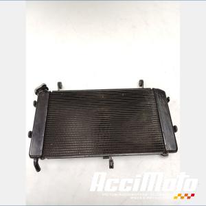 Radiateur de refroidissement SUZUKI GSXS 750