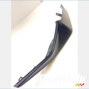 Coque arrière (gauche) BMW S1000 XR