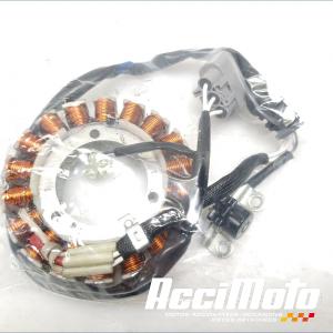 Stator d'alternateur YAMAHA R7 YZF