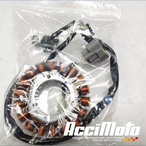 Stator d'alternateur YAMAHA R7 YZF