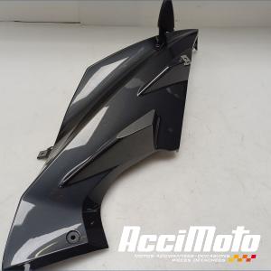 Flanc de carénage avant (droit) YAMAHA YZF-R 125