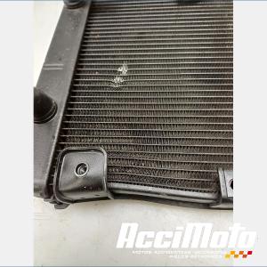 Radiateur de refroidissement TRIUMPH TRIDENT 660