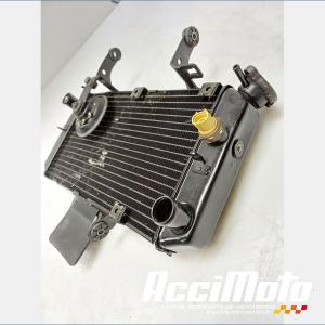 Radiateur de refroidissement SUZUKI V-STROM DL650