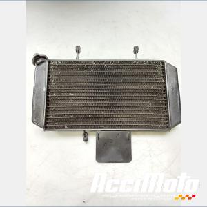 Radiateur de refroidissement SUZUKI V-STROM DL650