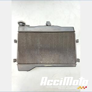 Radiateur de refroidissement YAMAHA MT-07