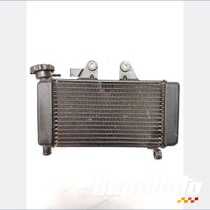 Radiateur de refroidissement HONDA SHADOW VT125C