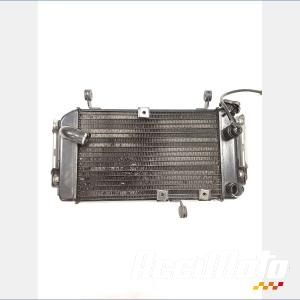 Radiateur de refroidissement SUZUKI SV 650N