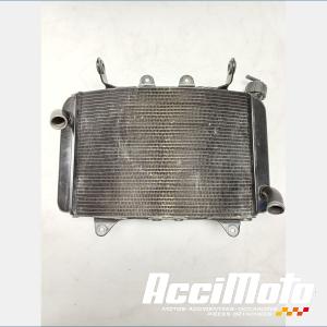 Radiateur de refroidissement KTM 790 DUKE