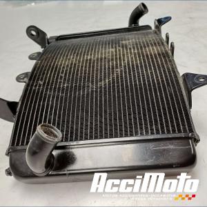 Radiateur de refroidissement KTM 790 DUKE