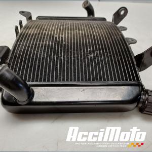 Radiateur de refroidissement KTM 790 DUKE