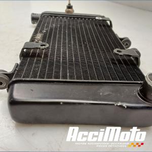 Radiateur de refroidissement HONDA DEAUVILLE NT650V