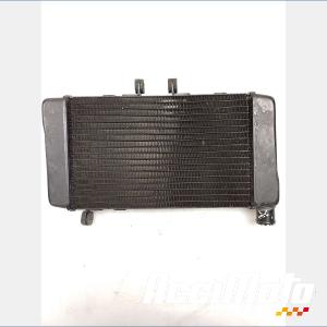 Radiateur de refroidissement HONDA DEAUVILLE NT650V