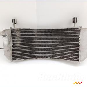 Radiateur de refroidissement YAMAHA TMAX XP560