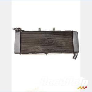 Radiateur de refroidissement HONDA XADV 750