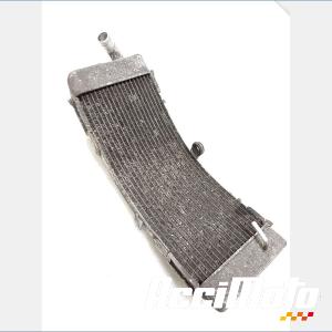 Radiateur de refroidissement YAMAHA TMAX XP500