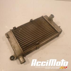 Radiateur de refroidissement APRILIA RSV 1000