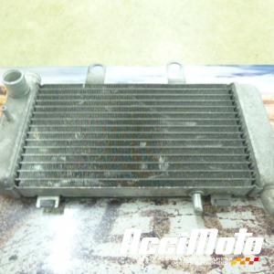 Radiateur de refroidissement HONDA VFR800 FI (98-01)