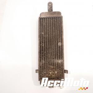 Radiateur de refroidissement SUZUKI BURGMAN UH125