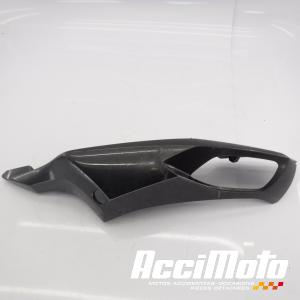 Coque arrière (gauche) KAWASAKI ZZR ZX1400