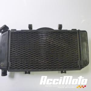 Radiateur de refroidissement YAMAHA TDM 900