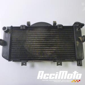 Radiateur de refroidissement YAMAHA TDM 900