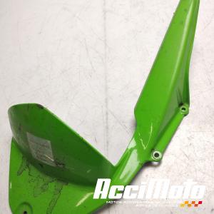 Ras de roue (sur bras oscillant) KAWASAKI ER6 N