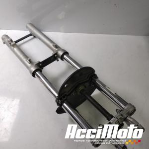 Fourche complète BMW F650 GS 