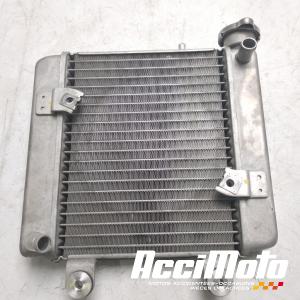 Radiateur de refroidissement HONDA S-WING FES125