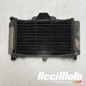 Radiateur de refroidissement YAMAHA FZ6 N