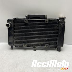 Radiateur de refroidissement YAMAHA FZ6 N