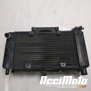 Radiateur de refroidissement YAMAHA FZ6 N