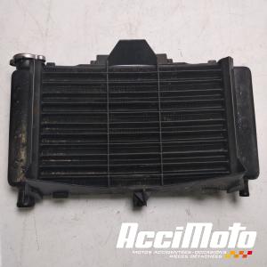 Radiateur de refroidissement YAMAHA FZ6 N